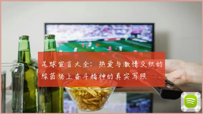 足球宣言大全：热爱与激情交织的绿茵场上奋斗精神的真实写照